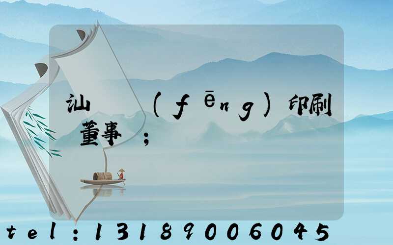 汕頭東風(fēng)印刷廠董事長